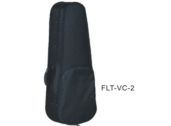 Violin Box  FLT-VC-2