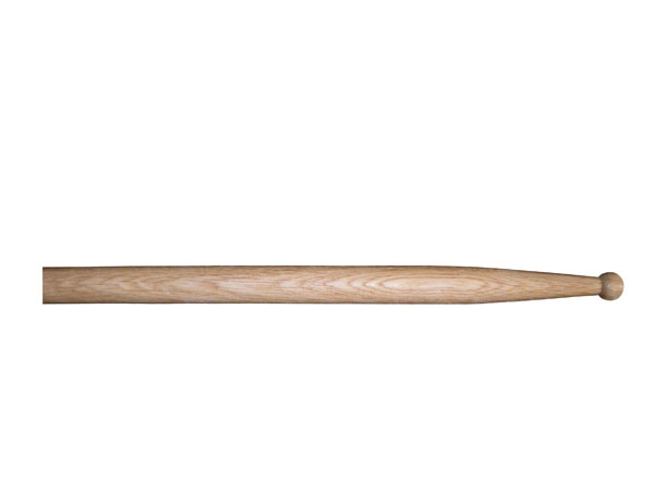 Oak drumstick  SD2