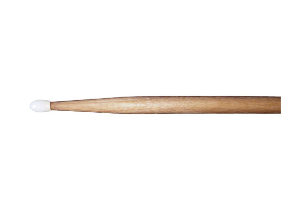 Oak drumstick   5AN