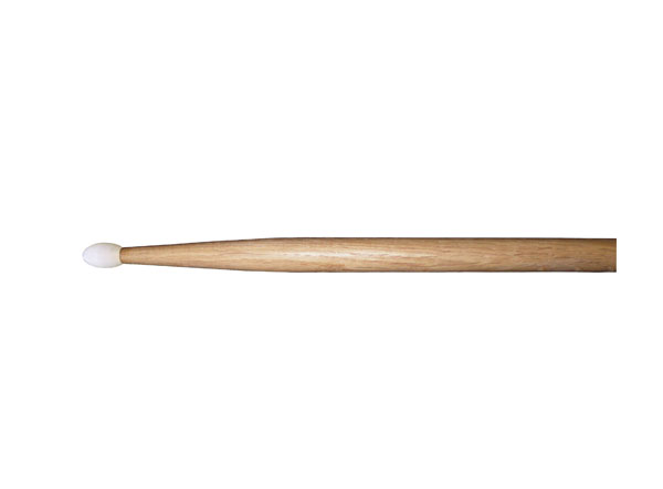 Oak drumstick  7AN