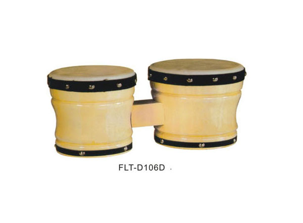 Bongo  FLT-D106D