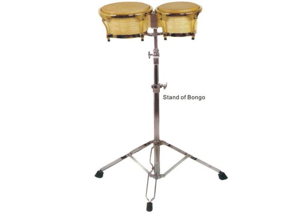 Stand of Bongo