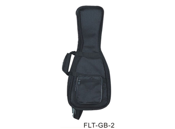   FLT-GB-2