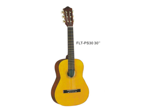 Acoustic guitar  FLT-PS30 30